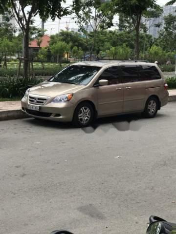 Honda Odyssey   2010 - Bán xe Honda Odyssey đời 2010, màu vàng, xe nhập