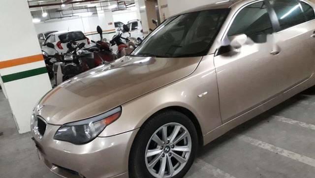 BMW 5 Series 530i 2010 - Cần bán BMW 530i sản xuất 2010, xe nhập