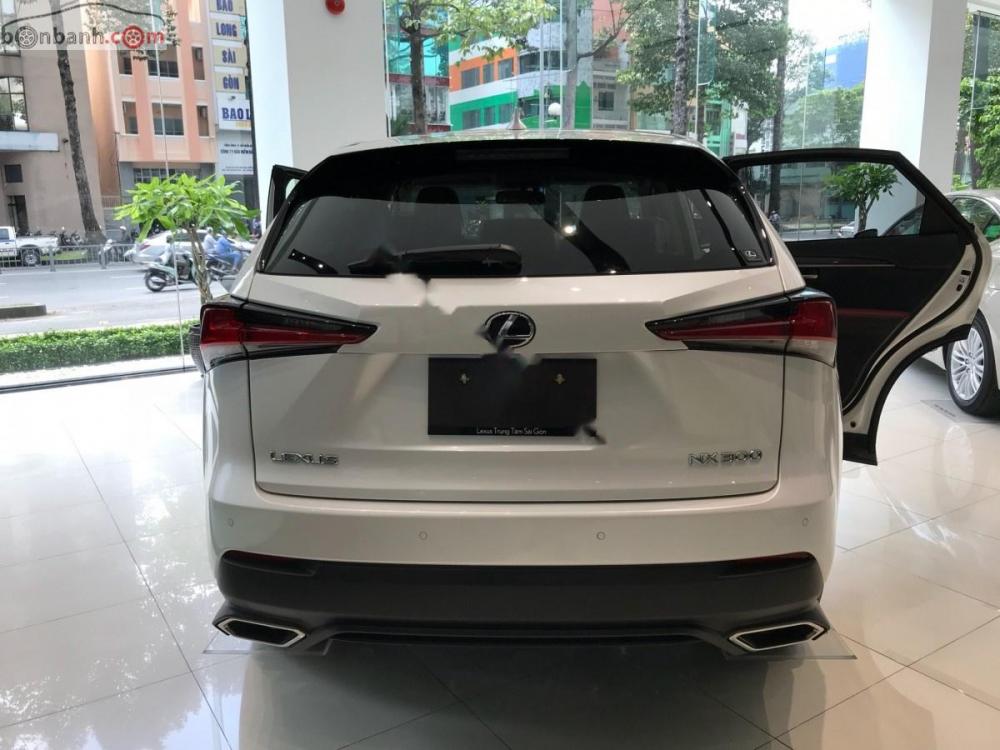 Lexus NX  300 2018 - Bán xe Lexus NX 300 năm 2018, màu trắng, xe nhập