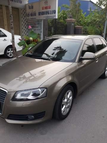 Audi A3 2010 - Bán ô tô Audi A3 đời 2010, nhập khẩu Đức