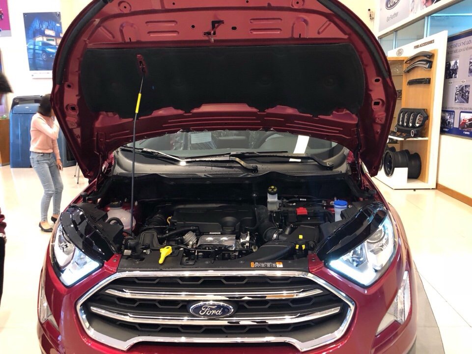 Ford EcoSport Titanium 2018 - Giá ưu đãi tốt cho chuyên gia đường phố, bán Ford Ecosport Titanium, đủ màu giao ngay. 0968.912.236