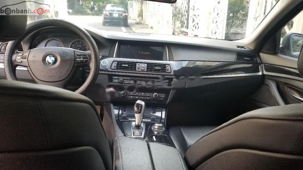 BMW 5 Series 523 2010 - Bán xe BMW 5 Series 523 đời 2010, màu đen, nhập khẩu 