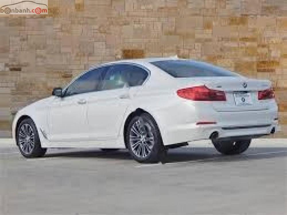 BMW 5 Series 2018 - Bán BMW 5 Series năm sản xuất 2018, màu trắng, nhập khẩu nguyên chiếc