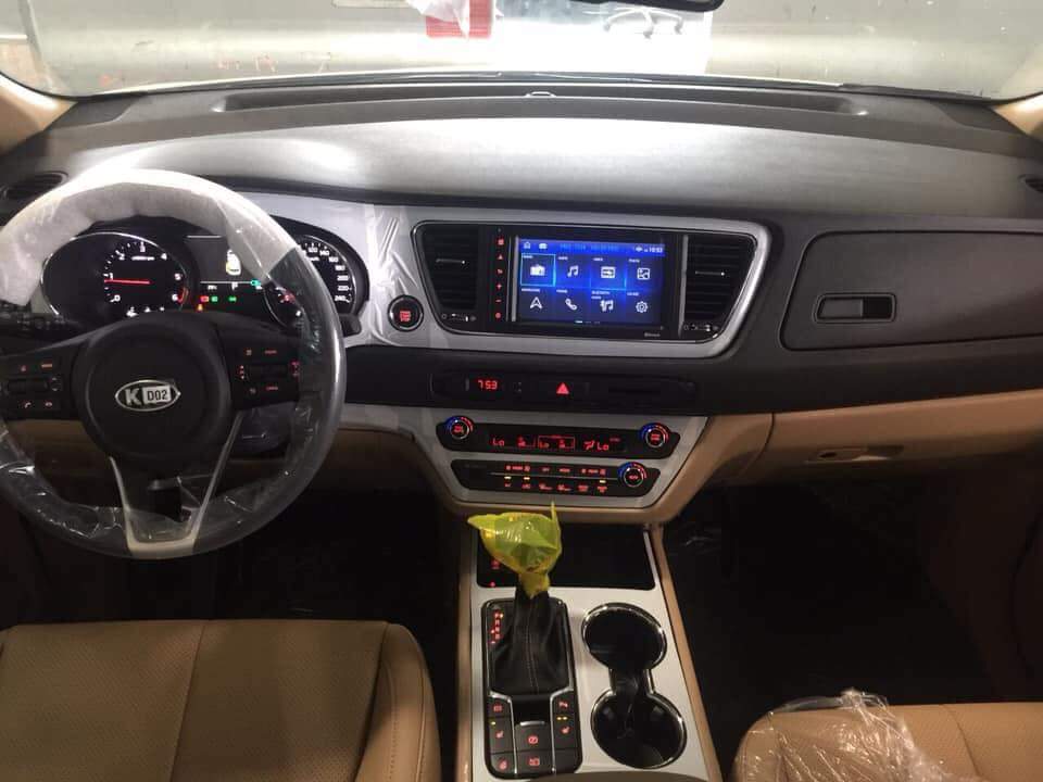 Kia Sedona Platinum D 2018 - Sedona 2019 full option - nhiều quà tặng, hỗ trợ trả góp 85%