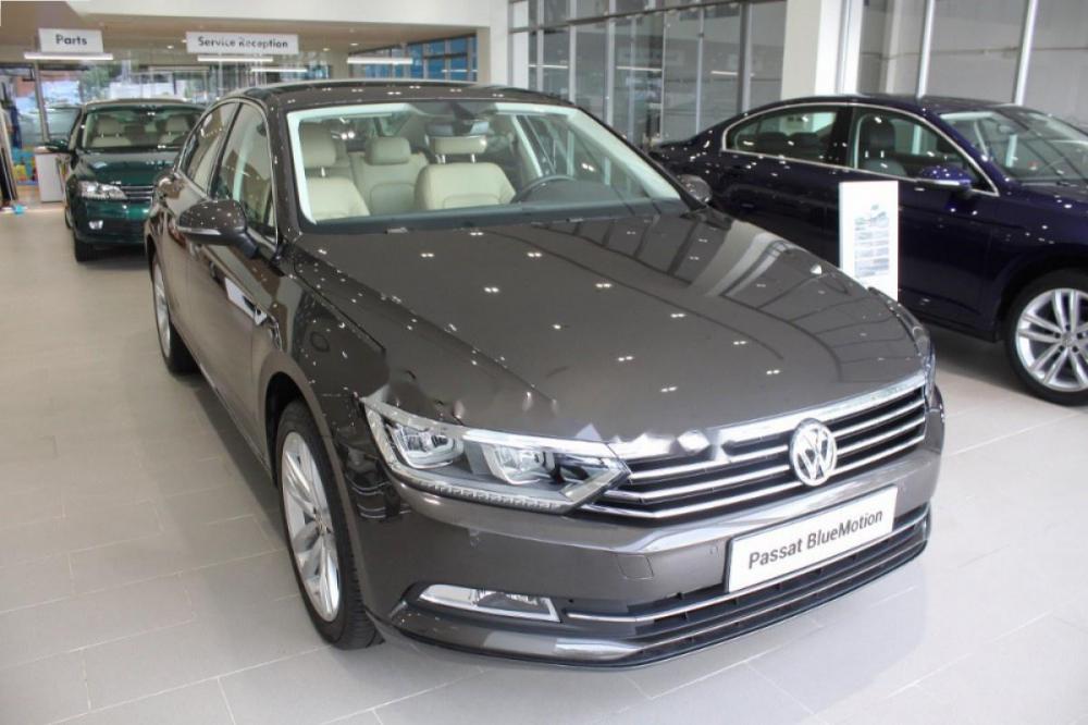 Volkswagen Passat 1.8 Bluemotion 2017 - Bán Volkswagen Passat 1.8 Bluemotion 2017, màu xám, nhập khẩu