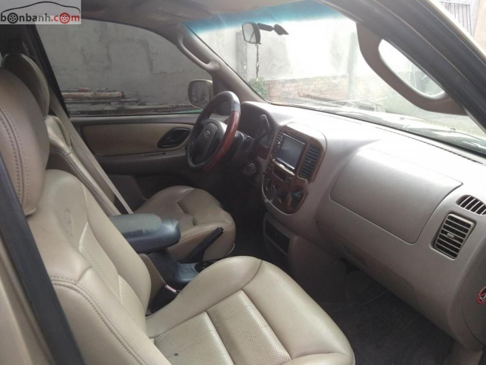 Ford Escape XLT  2003 - Cần bán Ford Escape XLT đời 2003, màu vàng cát, số tự động, giá chỉ 165 triệu