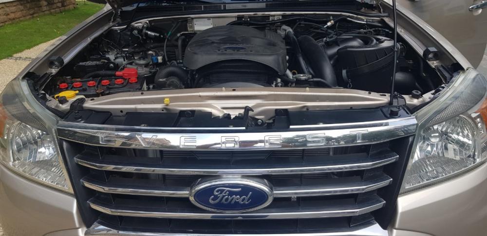 Ford Everest 2009 - Bán xe Ford Everest 7 chỗ màu hồng phấn, sx năm 2009, số sàn, máy dầu