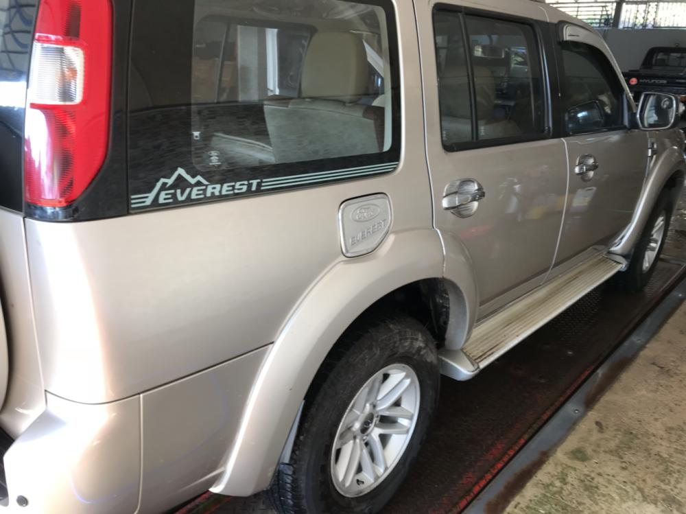 Ford Everest 2010 - Bán xe Ford Everest 2010, màu vàng, xe gia đình