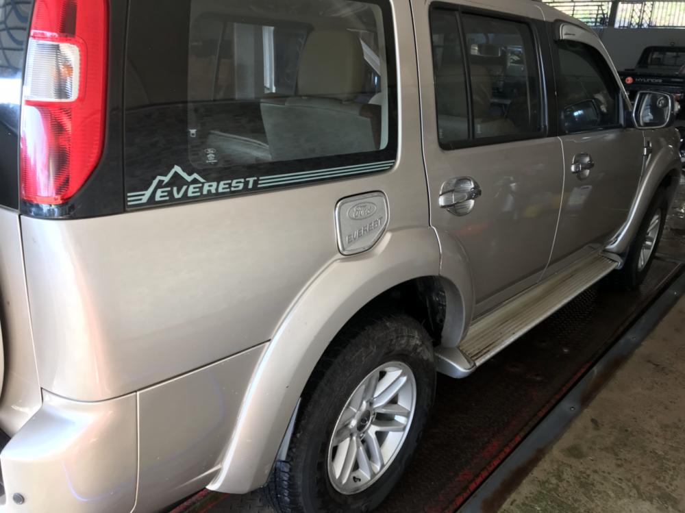 Ford Everest 2010 - Bán xe Ford Everest 2010, màu vàng, xe gia đình