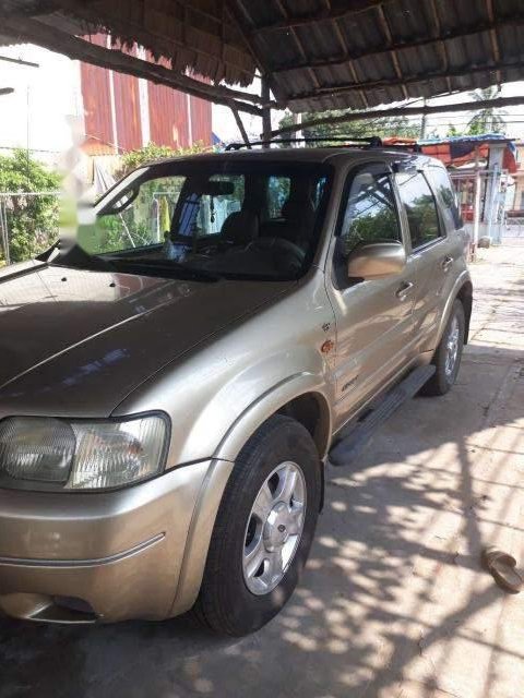 Ford Escape AT 2002 - Cần bán Ford Escape AT đời 2002, màu vàng, 160tr