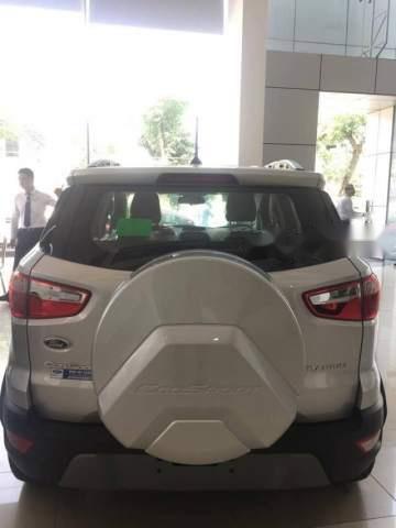 Ford EcoSport 1.0 AT Titanium 2018 - Bán Ford EcoSport 1.0L Ecoboost Titanium sản xuất năm 2018, màu bạc giá tốt