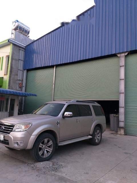 Ford Everest 2009 - Chính chủ bán Ford Everest sản xuất năm 2009, màu hồng số tự động