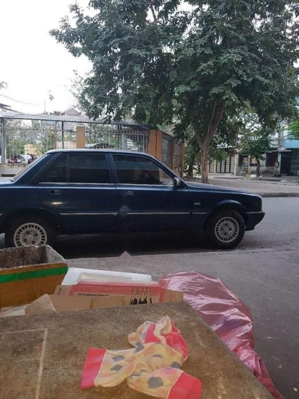 Peugeot 505 1991 - Cần bán gấp Peugeot 505 đời 1991, nhập khẩu nguyên chiếc, giá chỉ 55 triệu