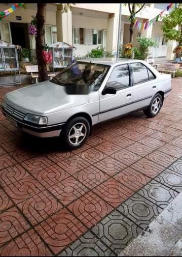 Peugeot 405   1992 - Bán Peugeot 405 năm 1992, màu bạc, nhập khẩu nguyên chiếc, 110tr