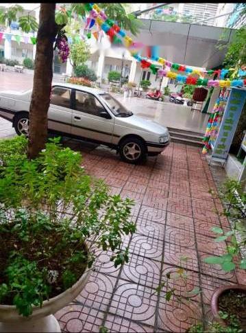 Peugeot 405   1992 - Bán Peugeot 405 năm 1992, màu bạc, nhập khẩu nguyên chiếc, 110tr