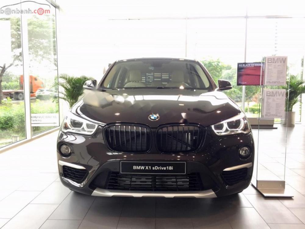 BMW X1 sDrive18i 2018 - Cần bán BMW X1 sDrive18i đời 2018, màu nâu, nhập khẩu