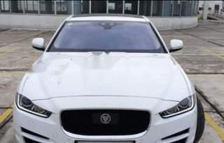 Jaguar XE   2016 - Cần bán gấp Jaguar XE đời 2016, màu trắng, xe nhập