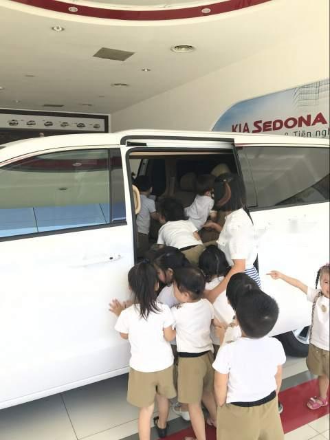 Kia Sedona 2019 - Cần bán Kia Sedona sản xuất 2019, màu trắng