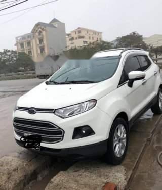 Ford EcoSport   2014 - Bán xe Ford EcoSport 2014, màu trắng, số sàn, 390 triệu