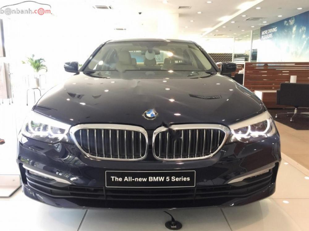 BMW 5 Series 520i 2019 - Cần bán BMW 5 Series 520i đời 2019, màu xanh lam, xe nhập