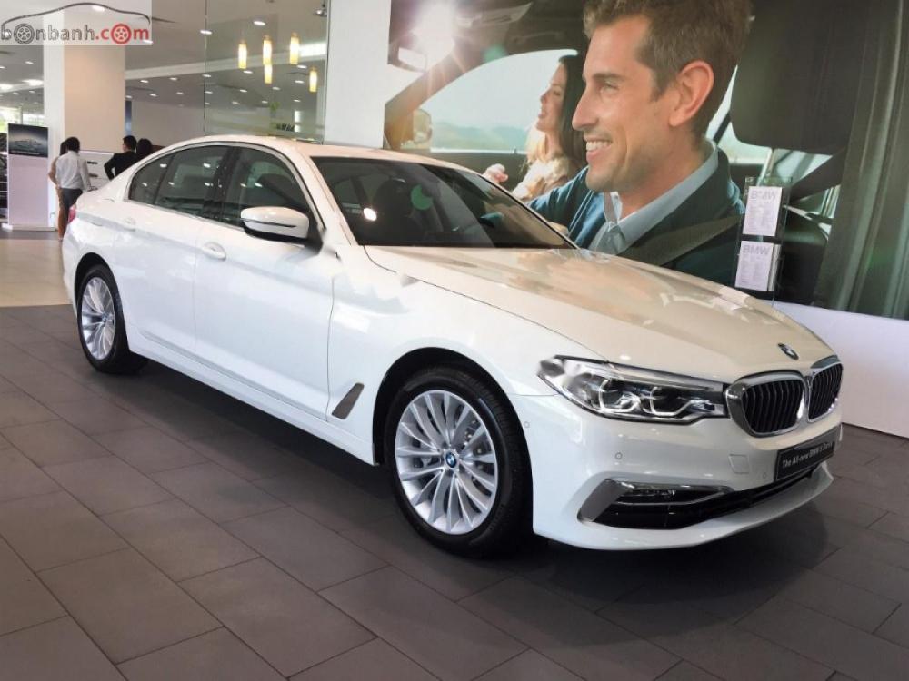 BMW 5 Series 530i 2019 - Cần bán xe BMW 5 Series 530i đời 2019, màu trắng, nhập khẩu nguyên chiếc