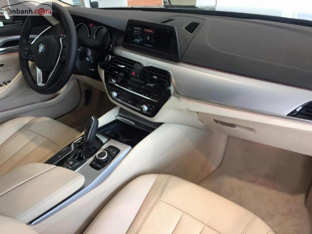 BMW 5 Series 520i 2019 - Cần bán BMW 5 Series 520i đời 2019, màu xanh lam, xe nhập