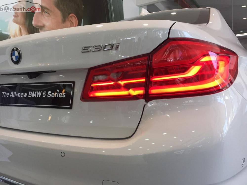 BMW 5 Series 530i 2019 - Cần bán xe BMW 5 Series 530i đời 2019, màu trắng, nhập khẩu nguyên chiếc