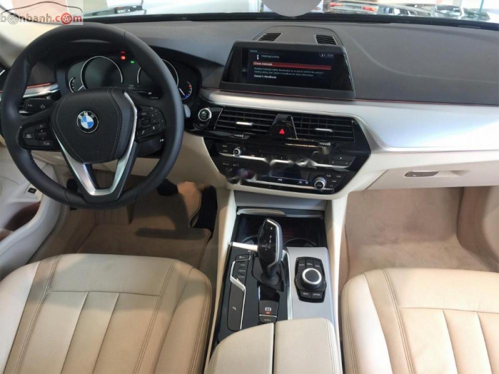 BMW 5 Series 520i 2019 - Cần bán BMW 5 Series 520i đời 2019, màu xanh lam, xe nhập