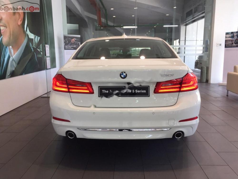 BMW 5 Series 530i 2019 - Cần bán xe BMW 5 Series 530i đời 2019, màu trắng, nhập khẩu nguyên chiếc