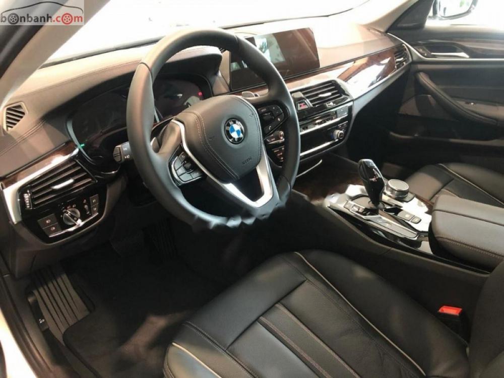 BMW 5 Series 530i Luxury Line 2018 - Bán ô tô BMW 5 Series 530i Luxury Line năm sản xuất 2018, màu trắng, xe mới 100%