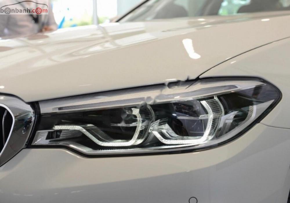 BMW 5 Series 530i Luxury Line 2018 - Bán ô tô BMW 5 Series 530i Luxury Line năm sản xuất 2018, màu trắng, xe mới 100%