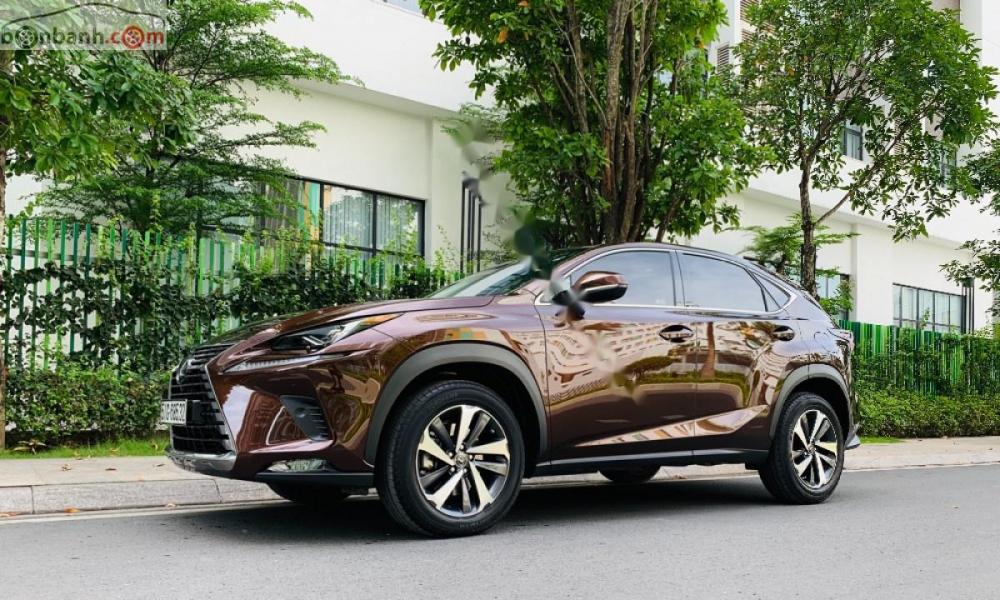 Lexus NX  300 2018 - Bán xe Lexus NX 300 đời 2018, màu nâu, nhập khẩu