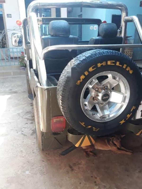 Jeep CJ 1975 - Bán ô tô Jeep CJ sản xuất năm 1975, nhập khẩu nguyên chiếc, 115 triệu