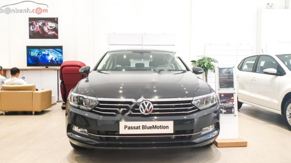 Volkswagen Passat 1.8 Bluemotion 2018 - Cần bán xe Volkswagen Passat 1.8 Bluemotion đời 2018, màu xám, nhập khẩu