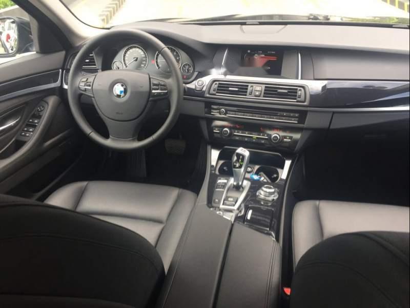 BMW 5 Series  520i 2015 - Cần bán xe BMW520i, chính chủ, tư nhân chỉ một chủ sử dụng, biển Hà Nội