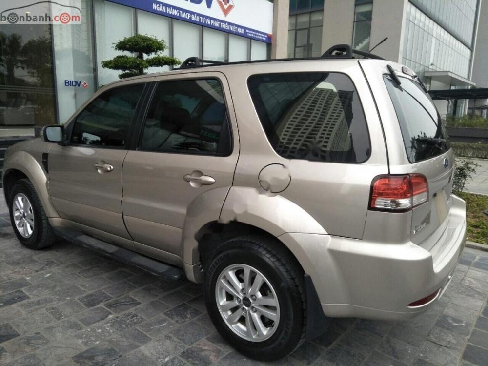 Ford Escape Dhb 2010 - Bán Ford Escape DHB đời 2010, màu đen giá cạnh tranh