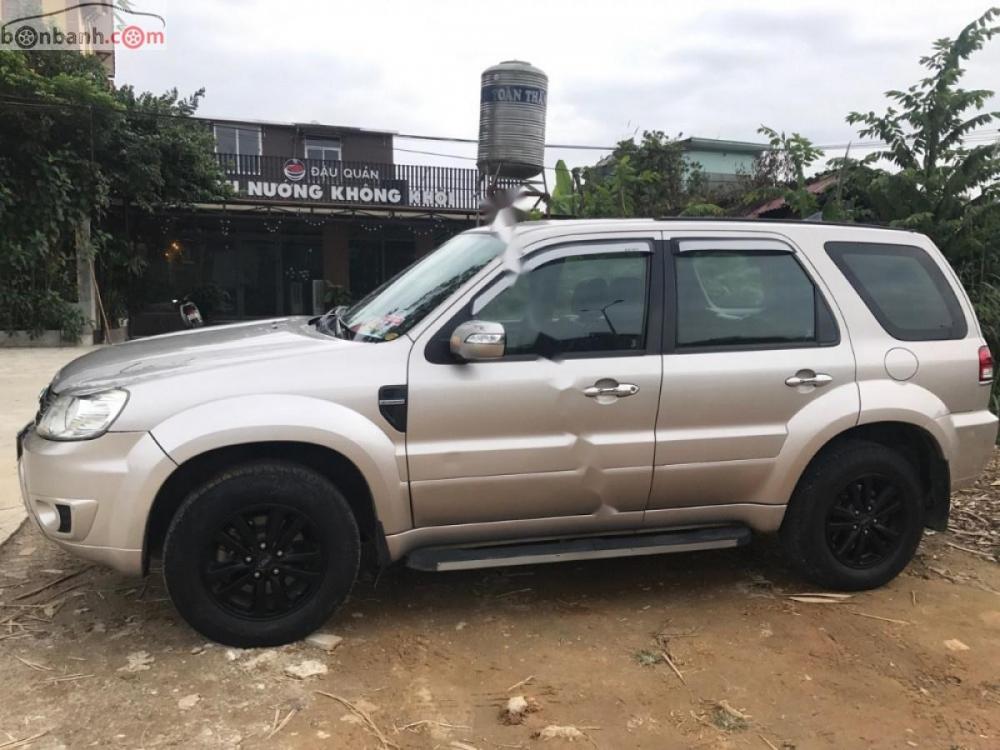 Ford Escape XLS 2.3L 4x2 AT 2009 - Cần bán lại xe Ford Escape XLS 2.3L 4x2 AT đời 2009, màu hồng  