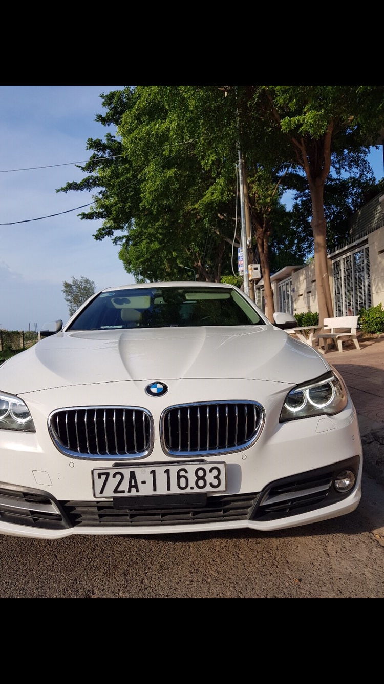 BMW 5 Series 520i  2014 - Bán xe BMW 520i đời 2015