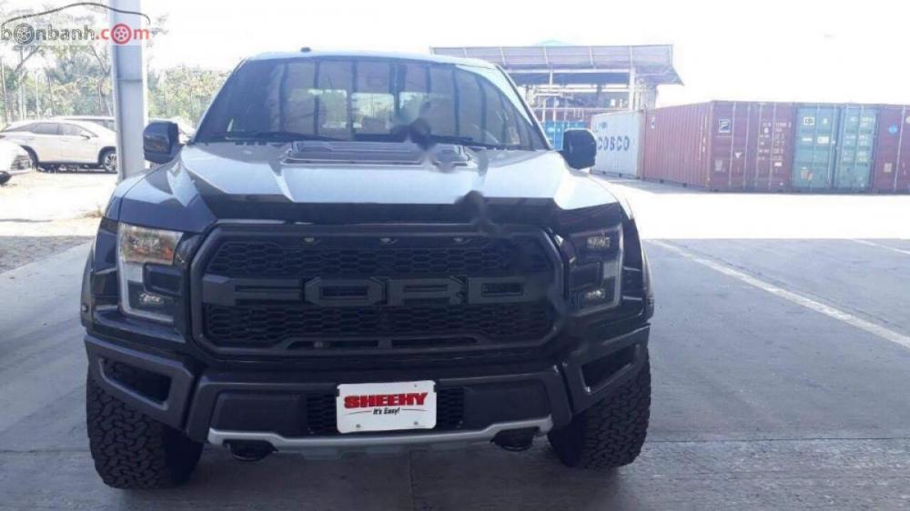 Ford F 150 Raptor 2019 - Cần bán xe Ford F 150 Raptor năm sản xuất 2019, màu đen, xe nhập