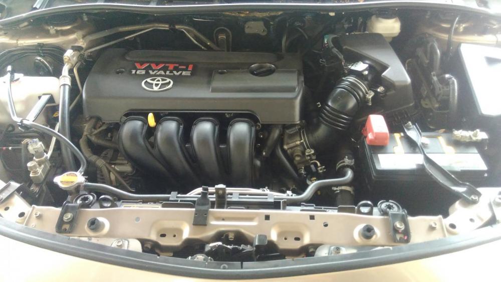 Toyota Corolla altis G 2010 - Bán ô tô Toyota Corolla altis G sản xuất năm 2010, màu vàng