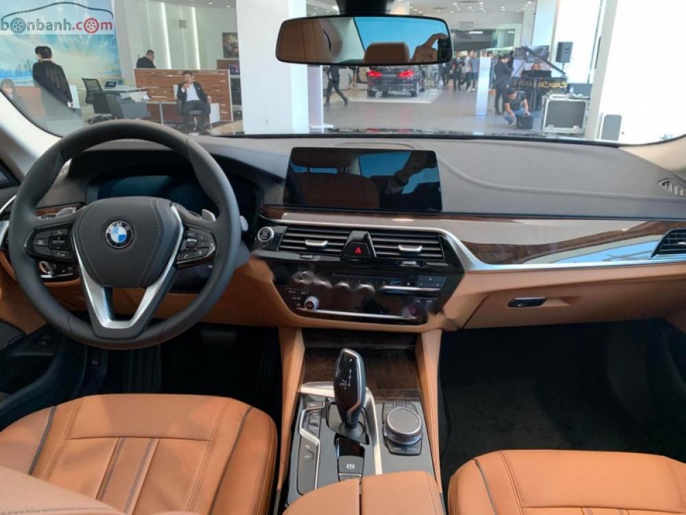 BMW 5 Series 530i 2019 - Bán ô tô BMW 5 Series 530i sản xuất năm 2019, màu đen, mới 100%