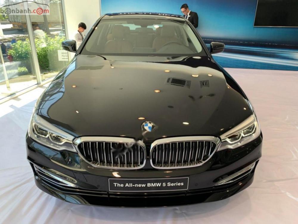 BMW 5 Series 530i 2019 - Bán ô tô BMW 5 Series 530i sản xuất năm 2019, màu đen, mới 100%