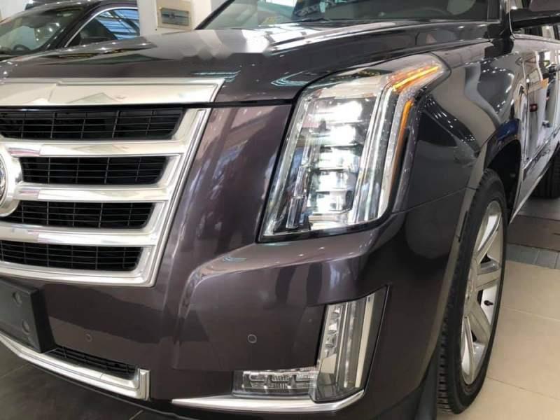 Cadillac Escalade   2015 - Cần bán gấp Cadillac Escalade đời 2015, đăng ký lần đầu 2017