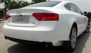 Audi A5   Sportback 2013 - Bán ô tô Audi A5 Sportback sản xuất 2013, màu trắng 