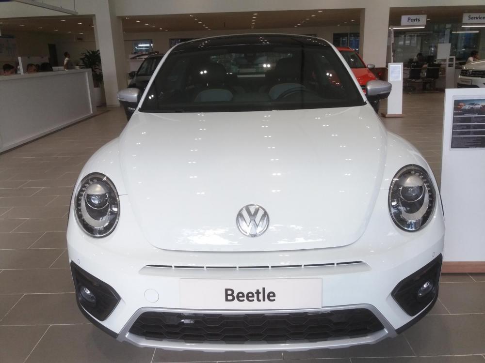 Volkswagen Beetle 2018 - Xe hơi thể thao Volkswagen - Beetle
