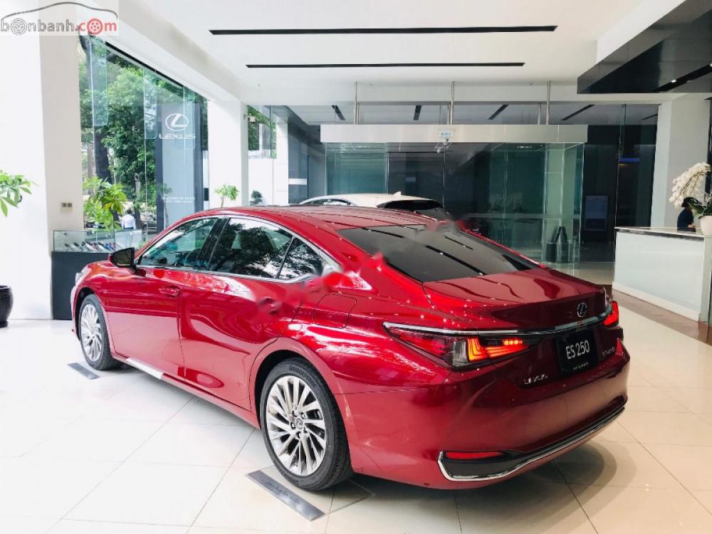Lexus ES 250 2019 - Bán ô tô Lexus ES 250 năm 2019, màu đỏ, nhập khẩu