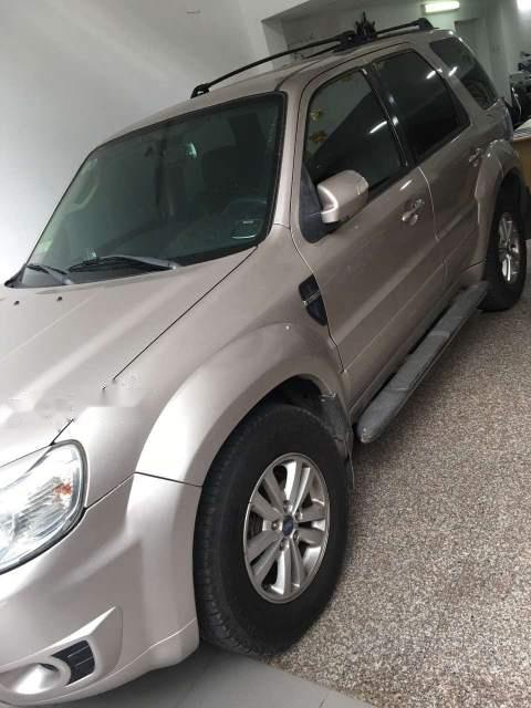 Ford Escape 2009 - Cần bán gấp Ford Escape đời 2009 còn mới