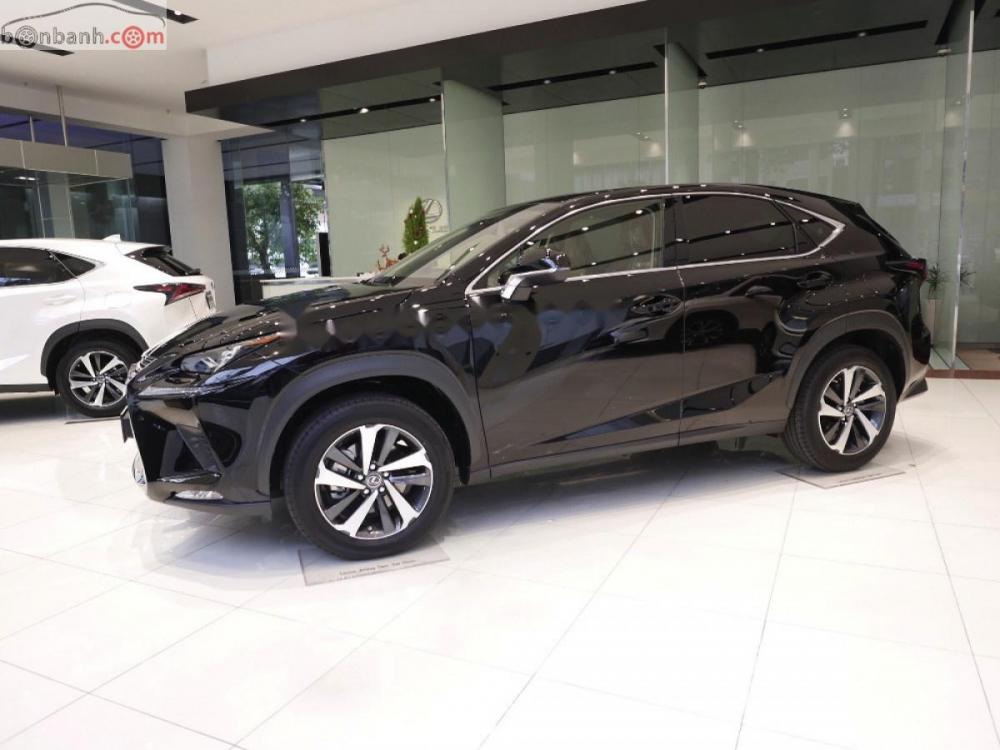 Lexus NX   300 2019 - Bán xe Lexus NX 300 sản xuất 2019, màu đen, nhập khẩu