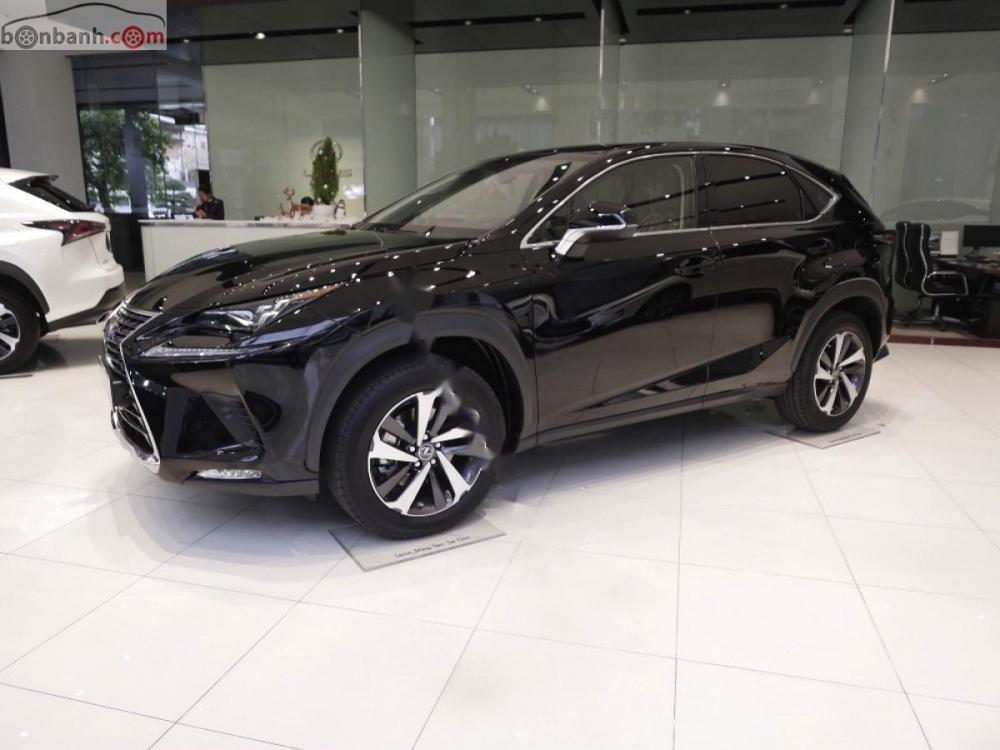 Lexus NX   300 2019 - Bán xe Lexus NX 300 sản xuất 2019, màu đen, nhập khẩu