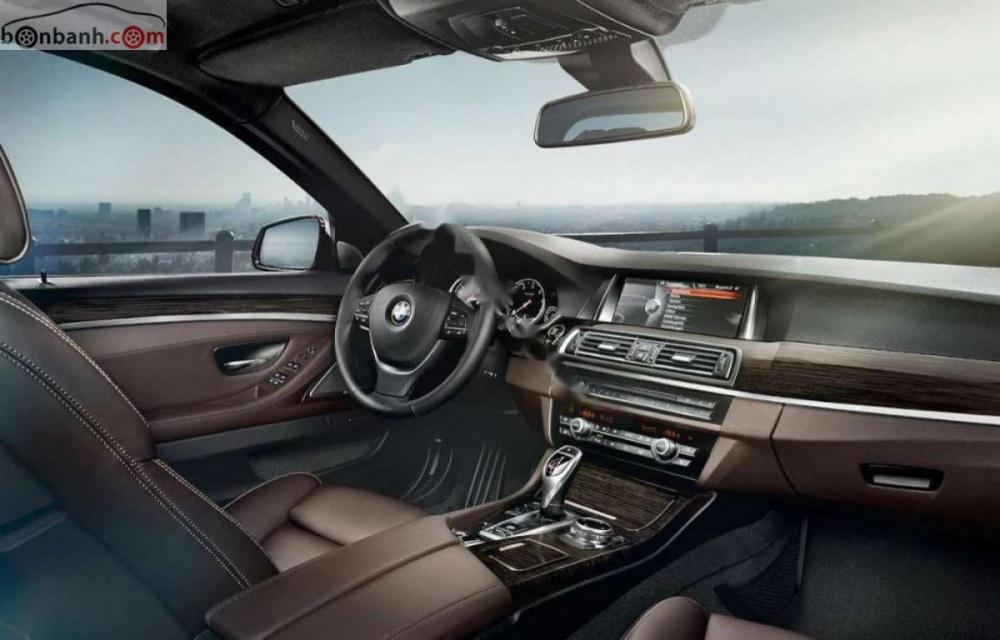 BMW 5 Series 530i 2019 - Bán BMW 5 Series 530i năm sản xuất 2019, nhập nguyên chiếc từ Đức và có sẵn để giao ngay